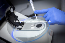 Marc Libault works in his lab in Beadle Hall. October 15, 2021. 