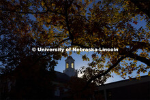 The sun shows through Love Library’s cupola which is framed by fall leaves. Fall on city campus. N