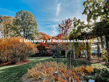 Fall on East Campus. November 6, 2021. 