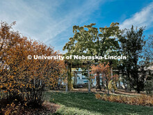 Fall on East Campus. November 6, 2021. 