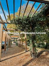 Fall on East Campus. November 6, 2021. 