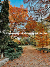 Fall on East Campus. November 6, 2021. 