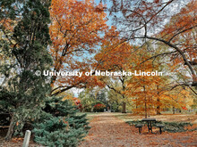 Fall on East Campus. November 6, 2021. 