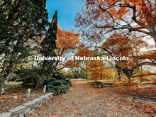 Fall on East Campus. November 6, 2021. 