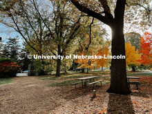 Fall on East Campus. November 6, 2021. 