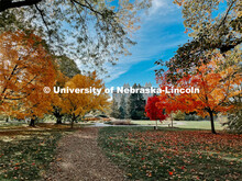 Fall on East Campus. November 6, 2021. 