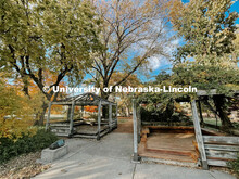 Fall on East Campus. November 6, 2021. 