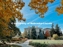 Fall on East Campus. November 6, 2021. 