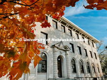 Fall on East Campus. November 6, 2021. 