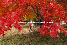 Students crossing campus. Fall on city campus. November 8, 2021. 