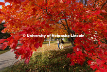 Maddie Ames and Sophi Throener Rodriguez catch up with each other surrounded by fall colors outside 