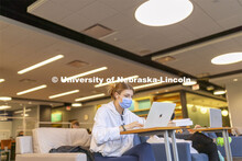 Carlie Cahoy of Norfolk studies in Love Library on the first day of classes for the spring semester.