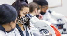 Huskers completing a microbiology and human health (BIOS 111) lab in Beadle Hall use microscopes to 