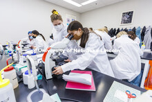 Huskers completing a microbiology and human health (BIOS 111) lab in Beadle Hall use microscopes to 