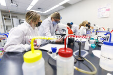 Huskers completing a microbiology and human health (BIOS 111) lab in Beadle Hall use microscopes to 