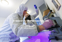Mariah Kaup collects evidence as Mariya Dudin holds an ultraviolet light to make it easier to see. S