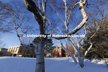 Huskers woke up Monday morning to an inch of snow. March 7, 2022. 