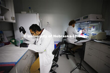 Students in Ryan Pedrigi and Ruiguo Yang’s lab work with microscopes, cell culture experimental eq