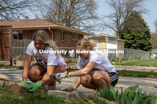 Alpha Xi Delta assist with raking leaves, trimming shrubs, window cleaning, door cleaning general ya