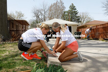 Alpha Xi Delta assist with raking leaves, trimming shrubs, window cleaning & door cleaning general y