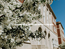 Spring on city campus. 