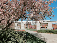Spring on city campus. 