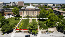 Fencing and screens surround the south lawn of Love Library as the cupola is being renovated. Campus