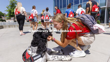 NSE Leader Gabrielle Modica, a New Student Enrollment leader, pauses to give Hershey a bit of attent