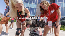 Hershey receives plenty of attention from New Student Enrollment students Madalyn Schoneman (left) a