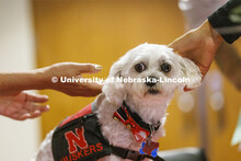 Neo the Trio support dog welcomes students and parents at New Student Enrollment.  June 22, 2022.  