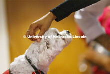 Neo the Trio support dog welcomes students and parents at New Student Enrollment Orientation. June 2