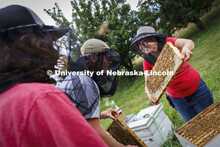Judy Wu-Smart, Associate Professor in Entomology, has USDA-NIFA funding for bee keeping and educatio