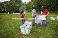 Judy Wu-Smart, Associate Professor in Entomology, has USDA-NIFA funding for bee keeping and educatio