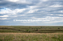A pasture southwest of North Platte. July 6, 2022. 