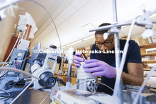 Shane Rice, a junior at North Carolina A&T, works in Professor Ozan Cifti’s lab at Food Innovation