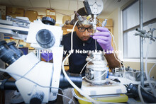 Shane Rice, a junior at North Carolina A&T, works in Professor Ozan Cifti’s lab at Food Innovation