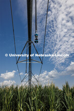 A center pivot sprinkler head delivering fertilizer along with water at an ENREC field near Mead, Ne
