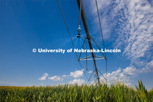 A center pivot sprinkler head delivering fertilizer along with water at an ENREC field near Mead, Ne