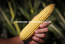 Jackson Stansell, founder and CEO of Sentinal Fertigation, and Brett Gerdes, senior in agronomy and 