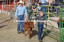Showing cattle at the 4-H Logan County Fair in Stapleton, Nebraska. August 11, 2022. 