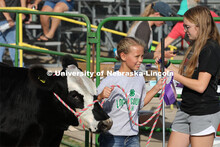 Showing cattle at the 4-H Logan County Fair in Stapleton, Nebraska. August 11, 2022. 