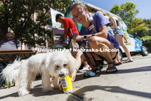 8-month-old Bailey eats his own Kona Ice along with his owner Zoie Malesker, a junior from Omaha, at