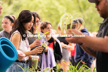 Students potting plants for their rooms at the Wellness Fest and Goat Yoga on the Nebraska Union gre