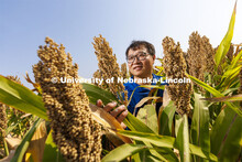 Jinliang Yang, assistant professor of agronomy and horticulture, is leading an effort to better unde