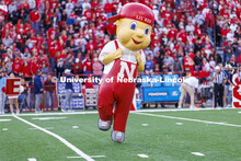 Lil’ Red dances on the field. Nebraska vs. Georgia Southern football in Memorial Stadium. Septembe