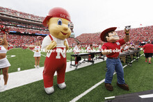 Lil' Red and Herbie Husker on the field at the Nebraska vs Oklahoma University football in Memorial 
