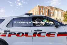 Cash, the UNLPD therapy dog, had a front seat to the parade. Homecoming Parade and Cornstalk. Septem