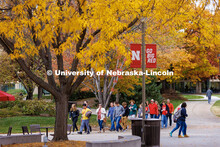 Students crossing campus to get to class. Fall on city campus. October 27, 2022. 