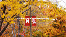 Fall on city campus. October 27, 2022. 