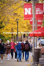 Students crossing campus to get to class. Fall on city campus. October 27, 2022. 